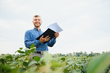 Agronomist inspecting soya bean crops growing in the farm field. Agriculture production concept....