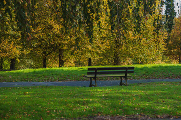 bench in autumn park