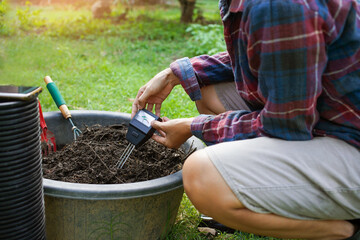 To measure soil pH, gardeners are using a monitor to measure pH balance, acidity, and alkalinity,...