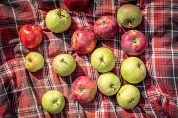 Fototapeta na wymiar Autumn composition of apples and pears lying on a checkered bedspread background. Concept of healthy natural food, detox diet and body cleansing. Top view, fruit picnic lunch.
