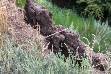Deep cracks in the earth in the landslide zone of the sea coast after the last hurricane and earthquake. Earth in large dangerous cracks. Danger of avalanches and soil movement. Web cracks in ground