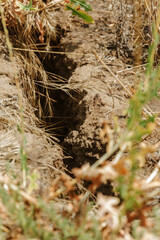 Deep cracks in the earth in the landslide zone of the sea coast after the last hurricane and earthquake. Earth in large dangerous cracks. Danger of avalanches and soil movement. Web cracks in ground