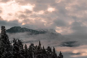 Fototapete Wald im Nebel Three Sisters, Rocky Mountains