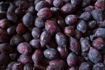 Close up of fresh plums with leaves, top view