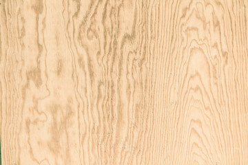 wood texture background for design