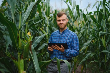 Farmer researching plant in Corn farm. Agriculture and scientist concept.