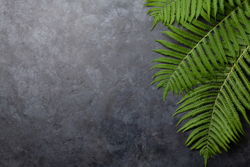 Abstract nature background with fern leaves