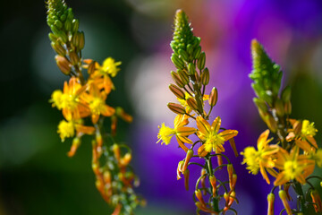 Fotografisches Allerlei aus dem Garten, der Tierwelt und der von Reisen