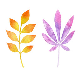 Watercolor autumn leaves isolated on white background. Purple and orange design elements. Hand painted illustration