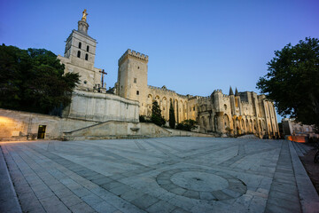 Palacio de los Papas, gotico medieval,Avignon,Francia, Europa