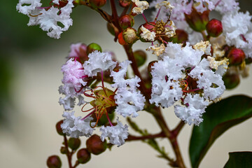 Fotografisches Allerlei aus dem Garten, der Tierwelt und der von Reisen