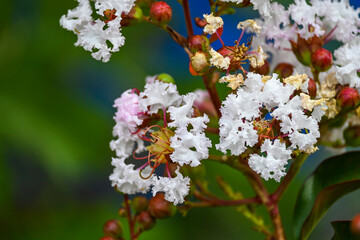 Fotografisches Allerlei aus dem Garten, der Tierwelt und der von Reisen