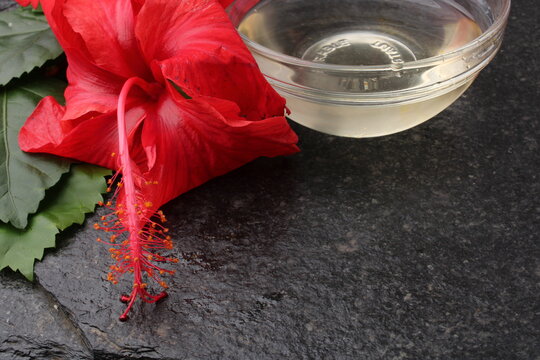 Jaswand or Hibiscus oil over black background.