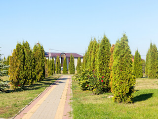 Colorful bright autumn city park. Leaves fall on ground. Autumn forest scenery with warm colors and footpath covered in leaves leading into scene.