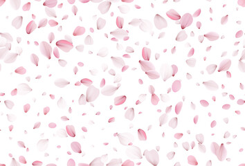 Seamless sakura petals. Falling realistic cherry petals