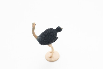 Toy ostrich on white background
