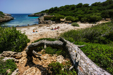 Fototapeta na wymiar Cala Brafia, Felanitx,Mallorca, islas baleares, Spain