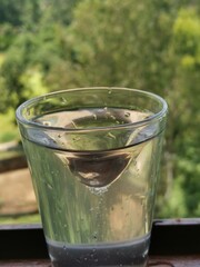 glass of water