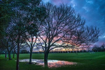 sunset in the park