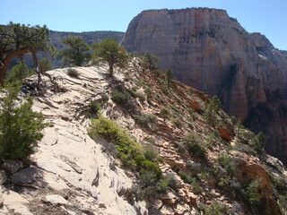 Obraz premium Zion National Park