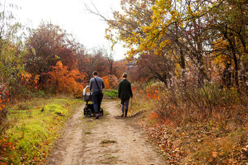 Autumn city park, amazing fall colors. Leaves fall on ground. Colorful Autumn scenery with warm colors and footpath covered in leaves leading. People walk in park