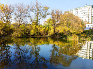 Authentic autumn landscape pond in city park. Yellow leaves fall to ground and into the water. Colorful autumn landscapes with warm colors and footpath covered with sheets. People relaxing in park