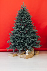 Blue Christmas tree with gift decor for the new year winter in the white postcard room holiday red background