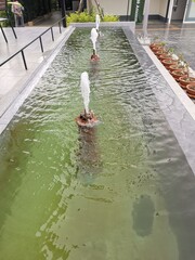 young woman in the pool