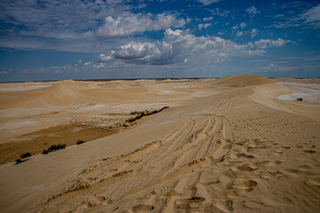 Берег Каспия