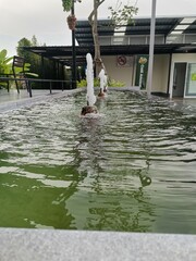 young woman in the pool