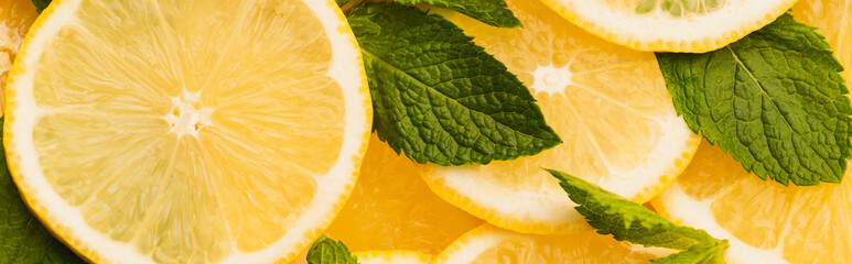 top view of sliced yellow lemons with mint green leaves, panoramic shot