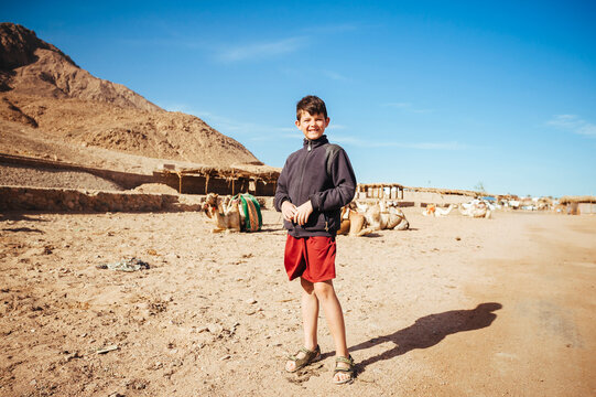 Young boy at the age of 9 have to work with camels in the tourist industry. Sharm El Sheikh, Egypt