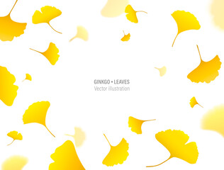 Autumn background with yellow ginkgo leaves. Vector frame of fall Japanese ginkgo biloba leaves on white background. Eps 10 vector illustration.