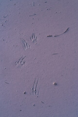 Footprints, Río Tinto - Red River, Sierra Morena, Gulf of Cádiz, Huelva, Andalucia, Spain, Europe