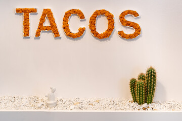 Tacos with Cactus and rocks - Invitation for a Party
