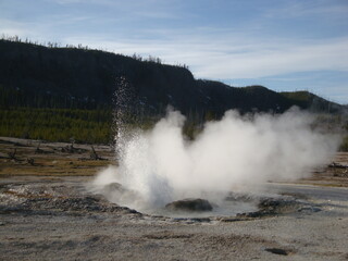 Yellowstone Geysers
