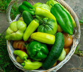 organic green vegetables in a basket on the grass