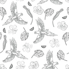 tropical seamless pattern with parrots and flowers. macaw parrot, hibiscus and tropical leaves, monstera and banana. Sketch style, lineart