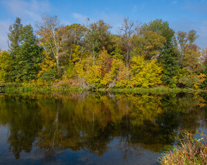 Fototapeta na wymiar Countryside landscape river and deciduous forest. Autumn season.