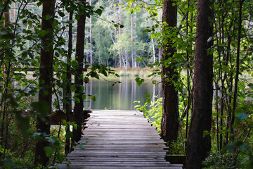 small bridge at a lake in swedish forest
