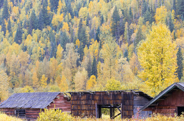 Old Barn in Clearwater, Wells Gray Nationalpark