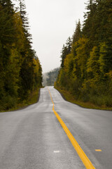 Fototapeta premium endless Road Indian summer Wells Gray Nationalpark