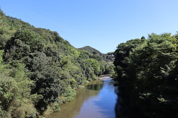 Fototapeta na wymiar 日本の山を散歩中に撮影