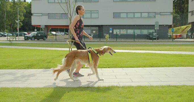 Woman of runner and dog on city street under sunrise sky in morning time. Outdoor walking. Athletic young girl with his dog are running in town. 4K video