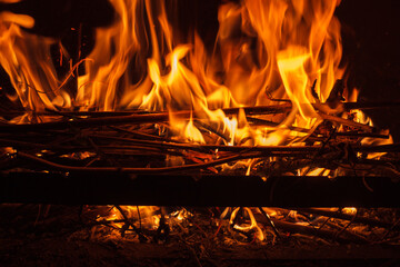Campfire close-up, outdoor evening at camping, forest fire