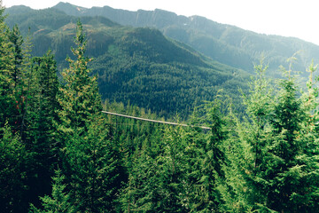 Fototapeta na wymiar suspension bridge Squamish, Canada 