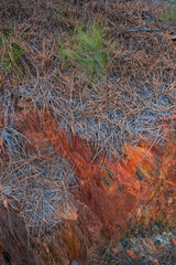 Río Tinto - Red River, Sierra Morena, Gulf of Cádiz, Huelva, Andalucia, Spain, Europe
