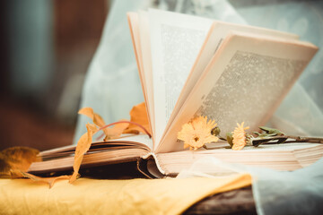 Flowers with orange petals on the paper pages of a brown book, the leaves of the book are opened in the form of a fan. White light background of transparent lace. A pleasant Sunny autumn day.