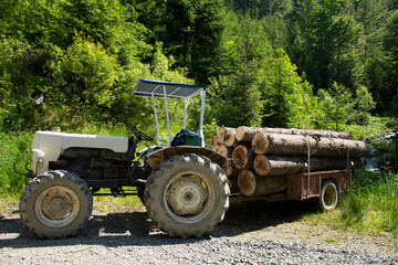 old tractor transports wood in the forest in Bistrita, Romania