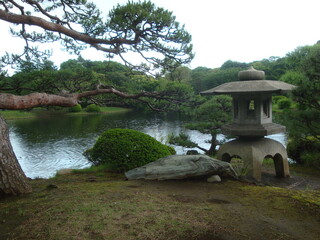Fototapeta na wymiar Japanese Garden